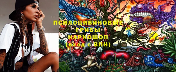 МДПВ Арсеньев