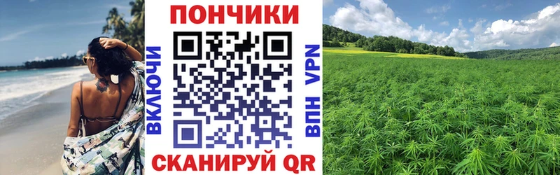 где можно купить наркотик  это как зайти  Канабис AK-47  Сельцо 